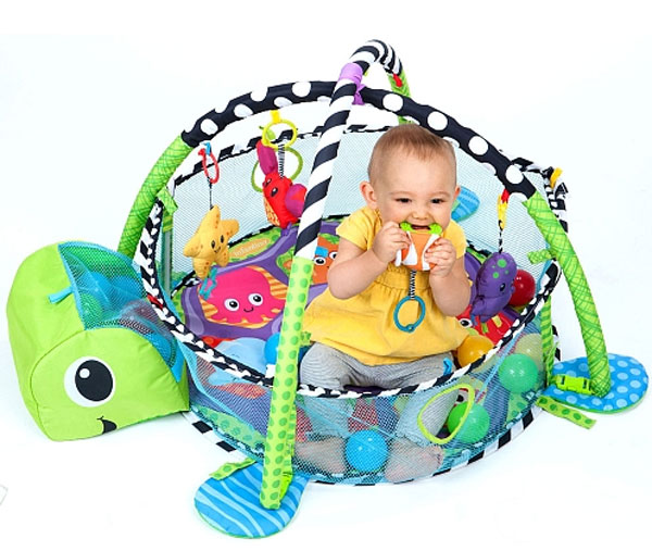 Activity Gym &Amp; Ball Pit