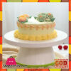 New Design Food Grade Plastic Revolving Cake Turntabe