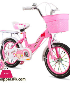 BXV LY-KB010 PINK CYCLE 12 INCH R/O