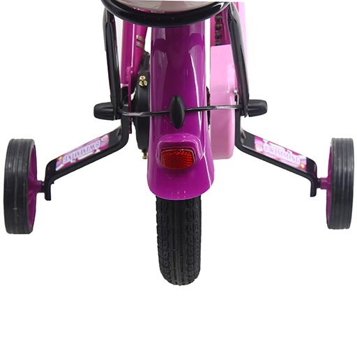 BXV LY-KB010 PINK CYCLE 16 INCH R/O