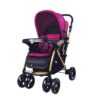 STROLLER PURPLE BLACK C8-112