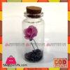 Home Decoration Glass Message Bottel 3 Inch