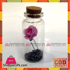 Home Decoration Glass Message Bottel 3 inch