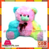 Stuff Multicolour Tady Bear 15 Inch