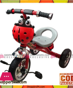 Tricycle With Music Ladybug