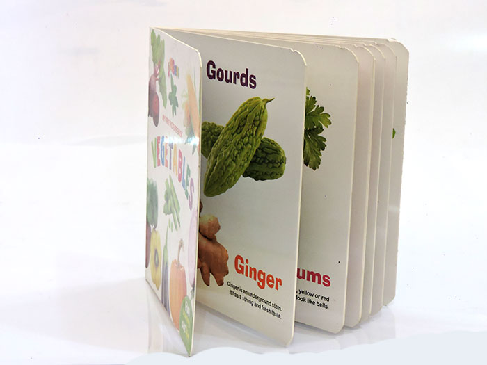 Vegetables- Board Book - My First Picture Book