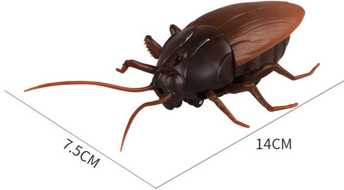 Innovation Giant Roach Infrared Control