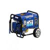 Ford – 7.5 KW – Self Start – Petrol & Gas Generator FG9250PE USA Brand – Blue