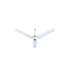 Royal 48 inches Ceiling Fan