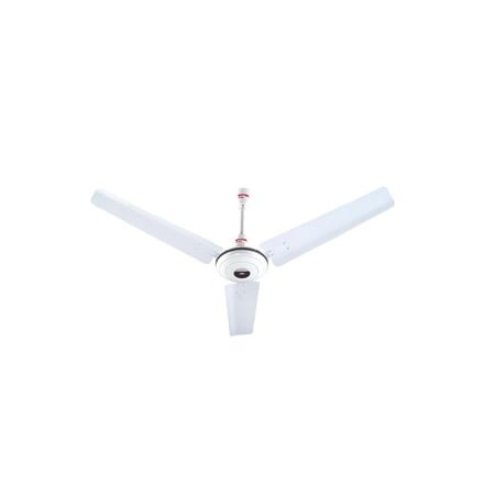 Royal 56 inches Ceiling Fan
