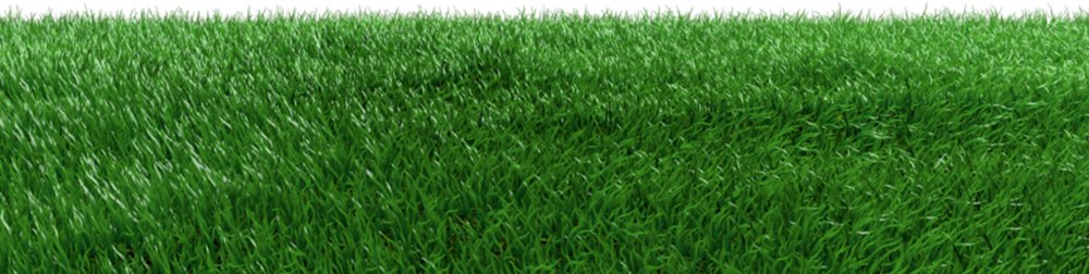 Real Feel Artificial Grass Wholesale Price In Pakistan - 10 Mm To 50 Mm