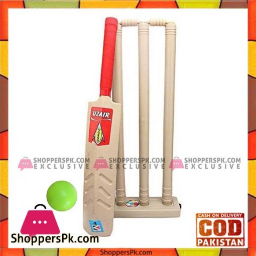 Cricket Bat Cricket Ball with Wicket Set For Kids