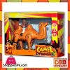 Camel Caravan Remote Control Toys For Kids