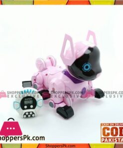 High Quality Kids Playing Robot Stunt Roll Puppy