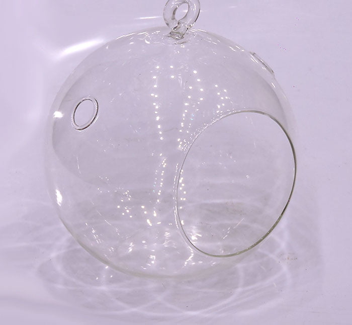Terrarium Landscape Glass Transparent Ball Shape Hanging Glass Vase Flower Plants