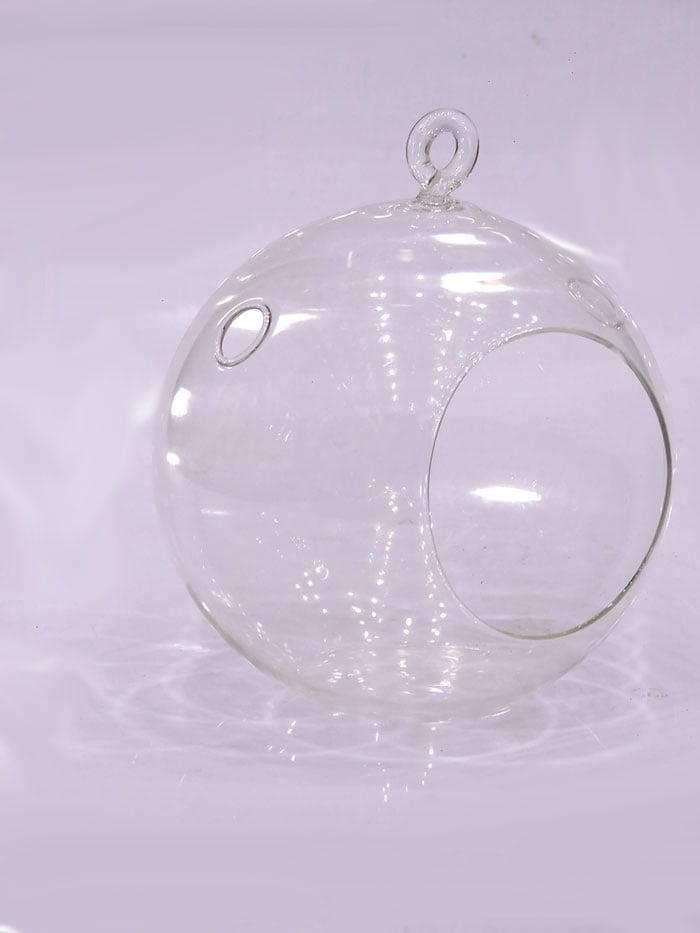 Terrarium Landscape Glass Transparent Ball Shape Hanging Glass Vase Flower Plants