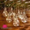 10 Bulb String Lights Indoor Outdoor Fairy Lights For Garden 8 Feet Length