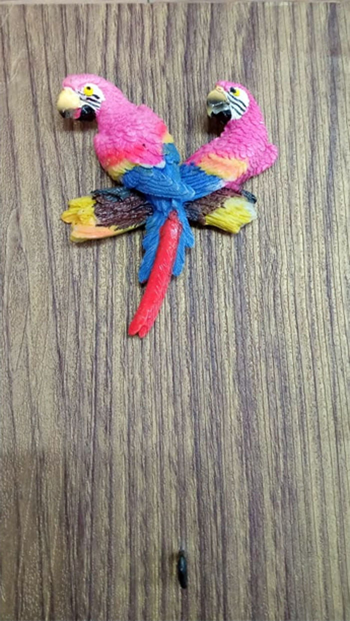 Parrot Key Holder 5 Hook