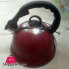 Stainless Steel Kettle Marble Texture Teapot 2.5L
