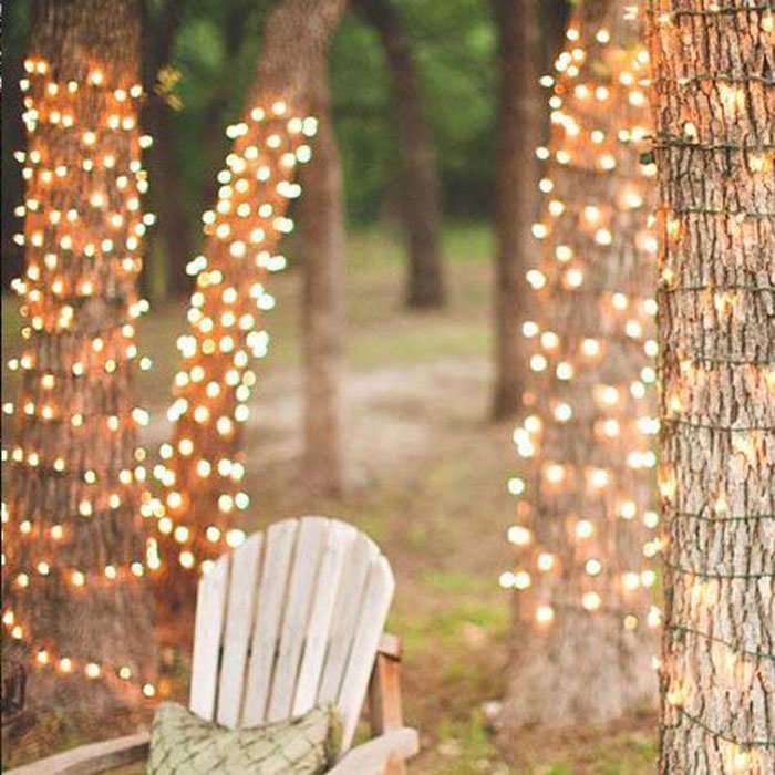 1 Pack Mini Teeny Tiny Lights,Starry String Light For Garden Lenth 8 Fit