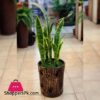 Artificial Sansevieria Plant With Pot Fake Leaves Tree Home Decor 1 Artificial Sansevieria Plant With Pot Fake Leaves Tree Home Decor