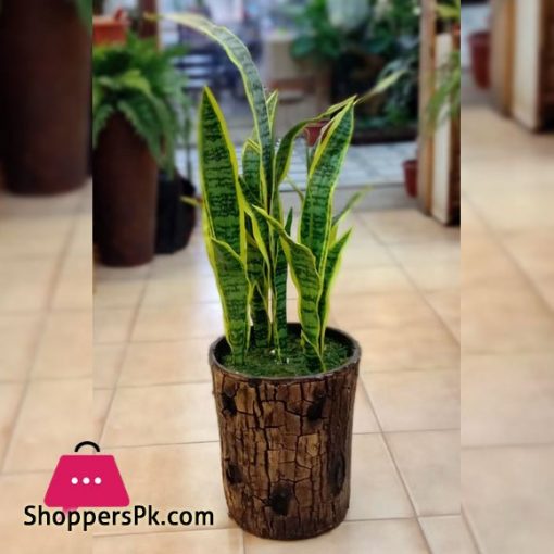 Artificial Sansevieria Plant with Pot Fake Leaves Tree Home Decor