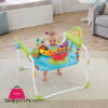 Fisher-Price Step-N-Play Jumperoo