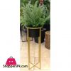 Golden Iron Stand Succulent Vase Grass Metal Flower Pot
