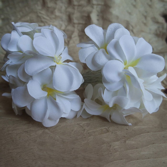 Creative Diy Frangipani Led String Lights