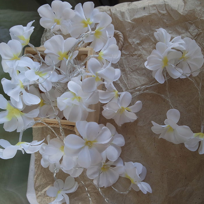 Creative Diy Frangipani Led String Lights