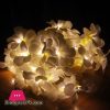 Creative DIY frangipani LED String Lights