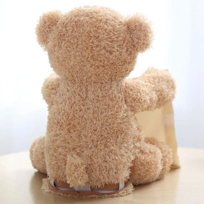 Peek-A-Boo Teddy Bear