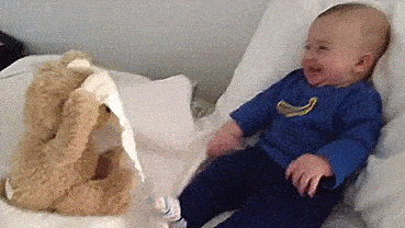 Peek-A-Boo Teddy Bear