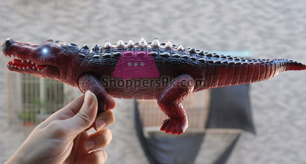 Big Crocodile To Light For Kid