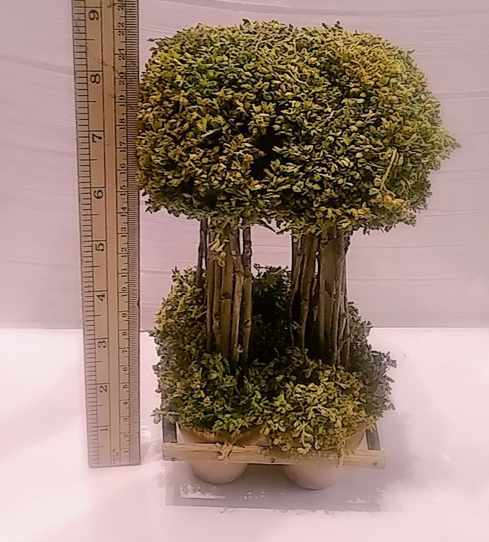 Flower Express Rattan Planter Fl-179 Sri-Lanka Made