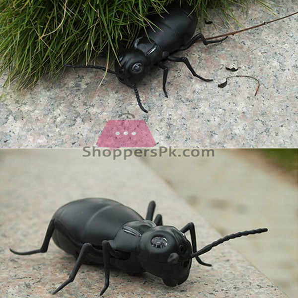 Remote Control Giant Ant For Kid