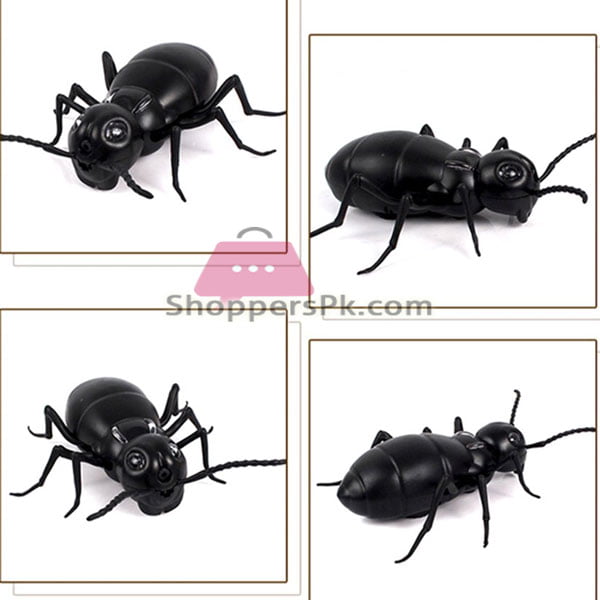 Remote Control Giant Ant For Kid