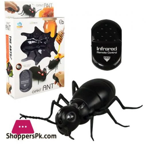 Remote Control Giant Ant For Kid