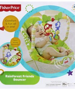 FISHER PRICE BOUNCER BBT60-in-Pakistan