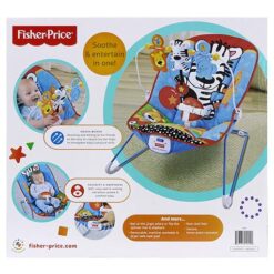 FISHER PRICE BOUNCER V8604-in-Pakistan