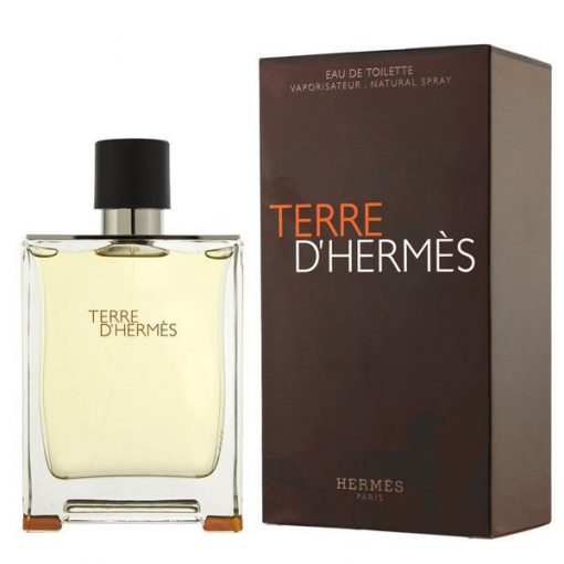 Terre D'Hermes by Hermes 100ml EDT