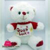 Stuff Teddy Bear Good Luck 30Cm