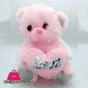 Stuff Teddy Bear Phb-25Cm