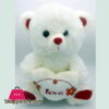 Stuff Teddy Bear Pwl 25Cm