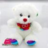 Stuff Teddy Bear Teamo 25Cm