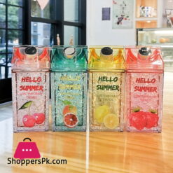 Hello Summer Straw Fashion Ice Fruit Water Bottle 430ML