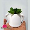 The Florist Artificial Plant with Small Tea Pot