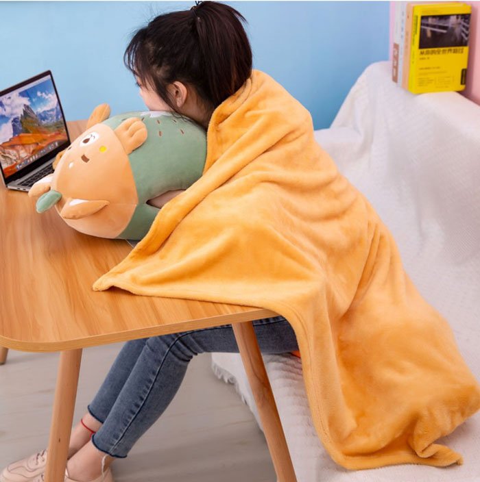 Cartoon Fruit Plush Pillow &Amp; Blanket Set