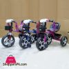 Bingo Baby Kids Tricycle