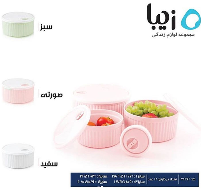 Ziba Sazan Plastic Food Container Bowl Set With Lid Of 4 Iran Made